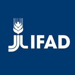 IFAD logo